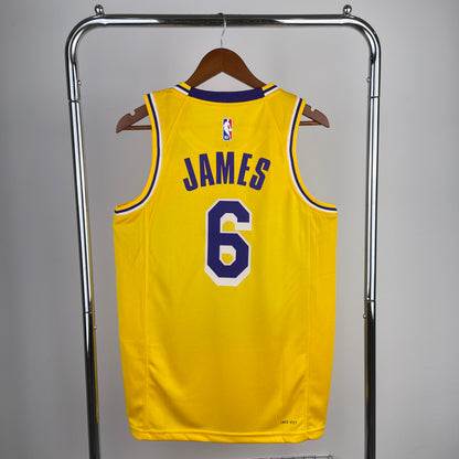 Los Angeles Lakers LeBron James Icon Edition Jersey #6