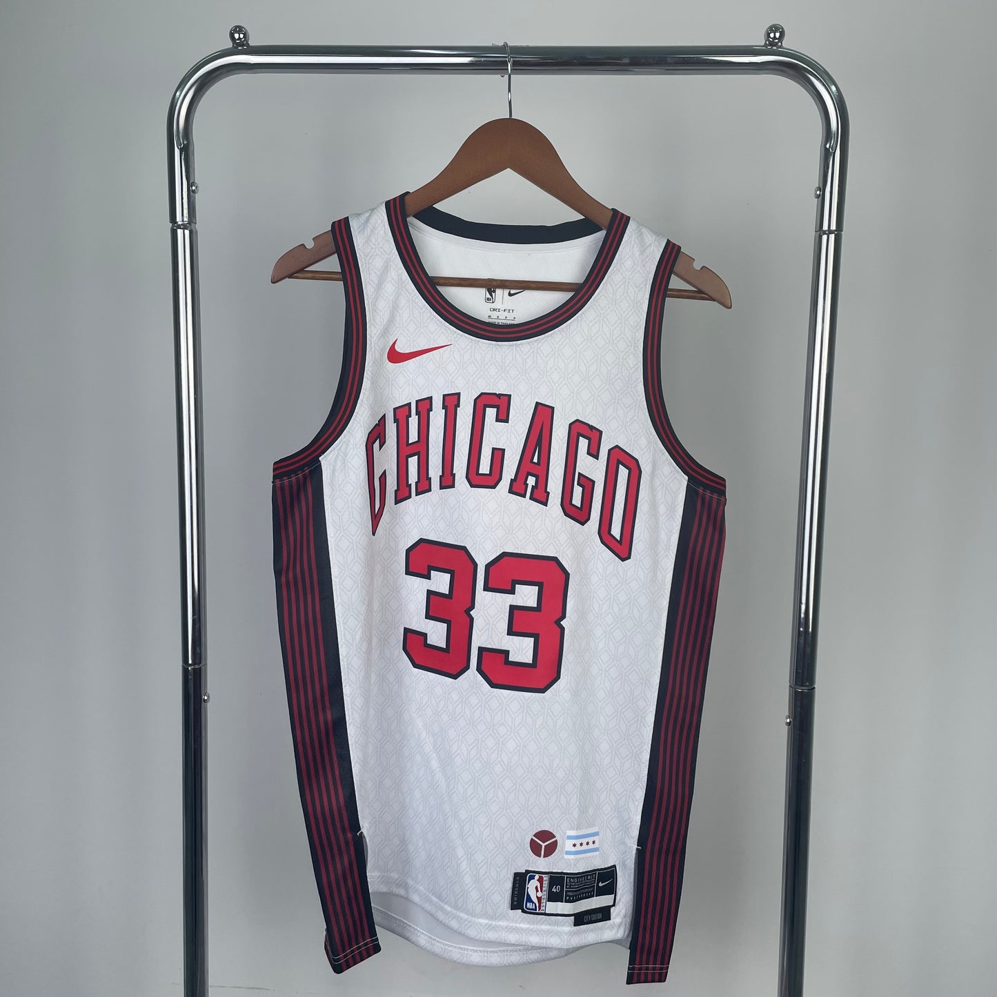 Chicago Bulls Scottie Pippen City Edition Jersey #33