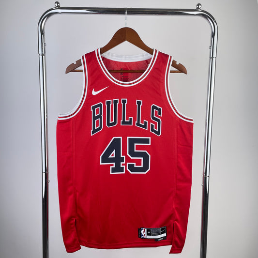 Chicago Bulls Michael Jordan Icon Edition Jersey #45