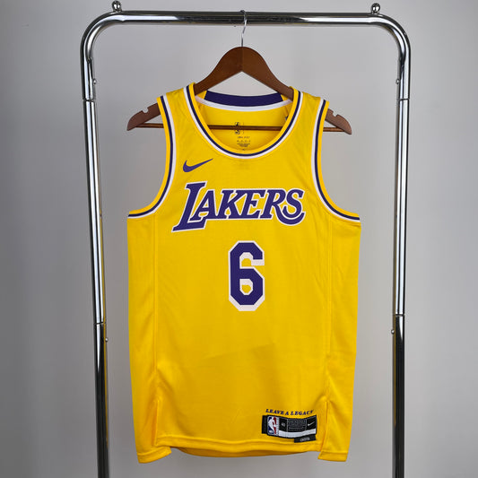 Los Angeles Lakers LeBron James Icon Edition Jersey #6