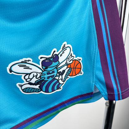 Charlotte Hornets NBA Shorts